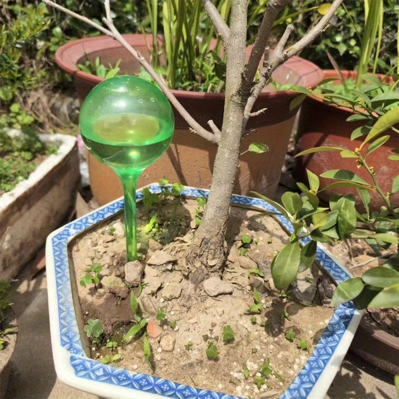 6 adet iç mekan bitkileri kend - Smart Garden Tower incelemesi ve fiyatı