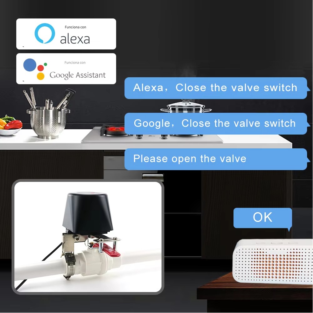 Tuya Zigbee veya Wifi Su Vanas - Smart Garden Instructions incelemesi ve fiyatı
