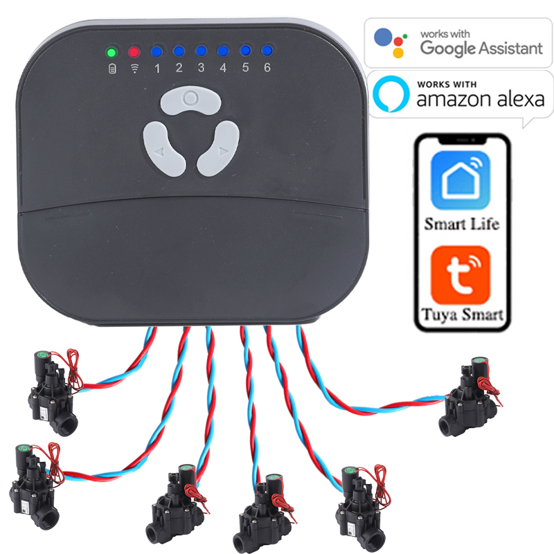 6 Bölgeli WIFI Bağlantılı Tuya - Smart Garden Sphagnum Moss incelemesi ve fiyatı