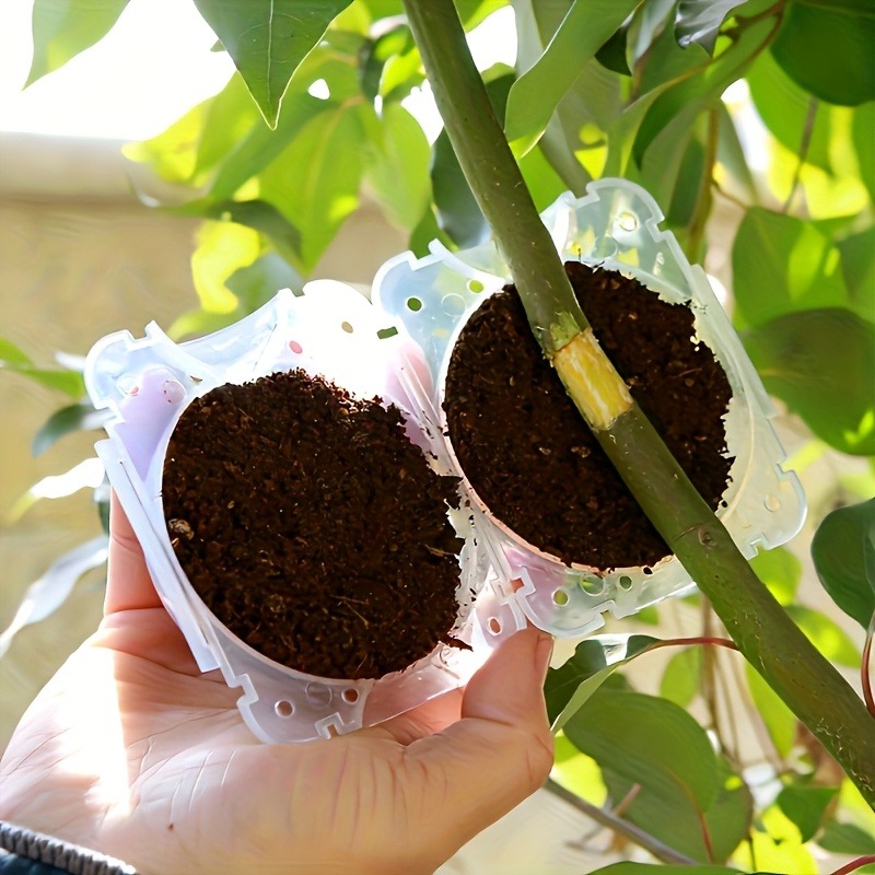 10 Parça Yüksek Basınçlı Bitki - Smart Garden Storage incelemesi ve fiyatı
